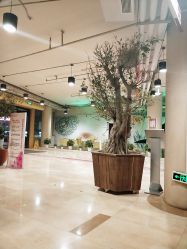 -沈阳市妇婴医院