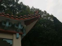 -青龙山公园