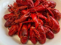 -虾皇(龙虾城旗舰店)