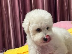 -掌上鲜(南顺城街店)