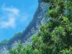 -重庆睡佛山森林公园