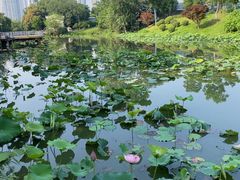 -月湖风景区