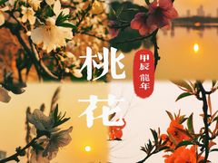 -澹台湖公园