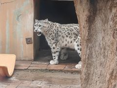 -青藏高原野生动物园
