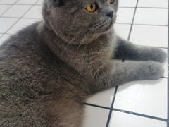 -ID.PHOTO照相馆(嘉里企业中心店)