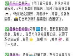 -巧克力渔家.小船海鲜胶东菜(万平口店)