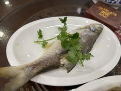 -长平肥姐白粥·海鲜打冷