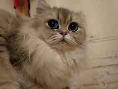 -粤来记·啫啫煲·点心(日月光店)