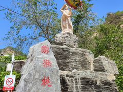 -大岭沟猕猴桃谷风景区