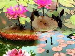 -国家植物园南园