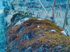 -太子岭滑雪场