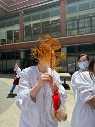 -复旦大学附属儿科医院