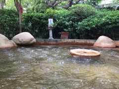 -西安国际创新人才交流中心•药浴温泉