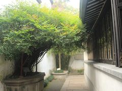 -乌镇东栅景区-茅盾故居