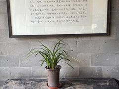 -兰亭风景区