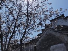-鸣鹤古镇