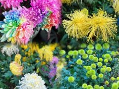 -杭州植物园