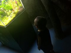 -梦幻海洋王国(吾悦广场张家港店)
