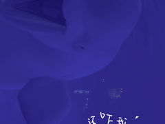 -上海海昌海洋公园