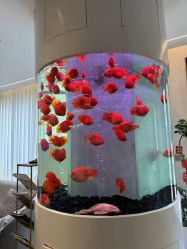 -新蝶变皮肤管理中心