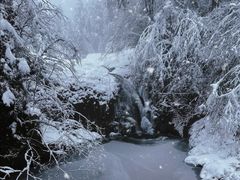 -龙苍沟森林公园
