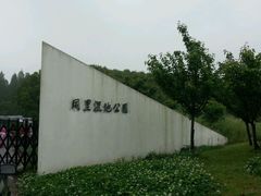 android_upload_pic-同里国家湿地公园