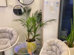 -茉柠Morning Nails