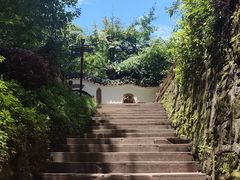 -青城山