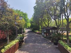 -绍兴镜湖国家城市湿地公园