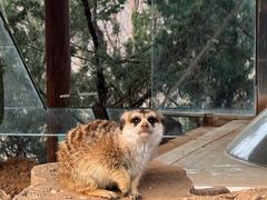 -济南野生动物世界