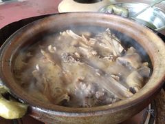 -霞姐屯昌枫木香草鸭店(海螺店)