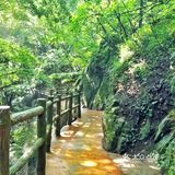 南阳隐藏着一个爱丽丝仙境，就在西峡老君洞！