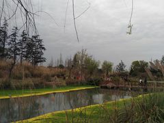 -桤木河湿地公园