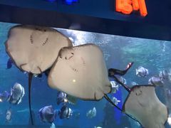 -石林冰雪海洋世界