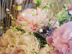 -浦鸿会游泳健身中心·Ambassy Club PD(金桥碧云国际社区店)