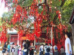 -国恩寺