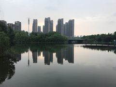 -天鹅湖体育公园