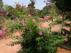 -武汉紫薇都市田园