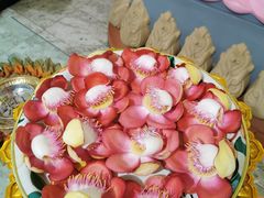 -班达拉奈克国际机场