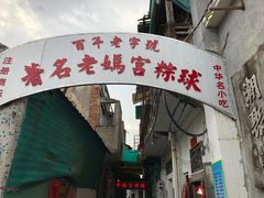 -老妈宫粽球