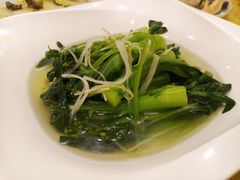 盐水菜心-粤·向群饭店(泮塘路店)