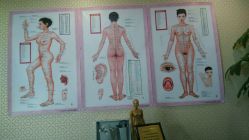 -养月堂中医养生月子会所(中心妇产店)