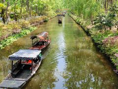 -合肥滨湖国家森林公园