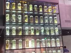 -广东中医药博物馆