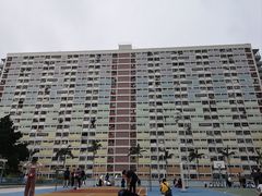 -彩虹村