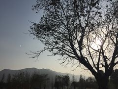 -长兴太湖图影湿地文化园