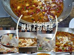 -活鱼村·老陈记粉店