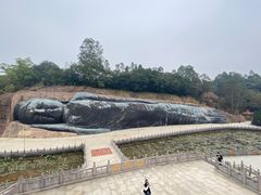 -三水森林公园