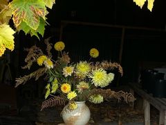 -荷兰布尔玛国际花艺学院