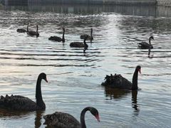 -厦门国家会计学院